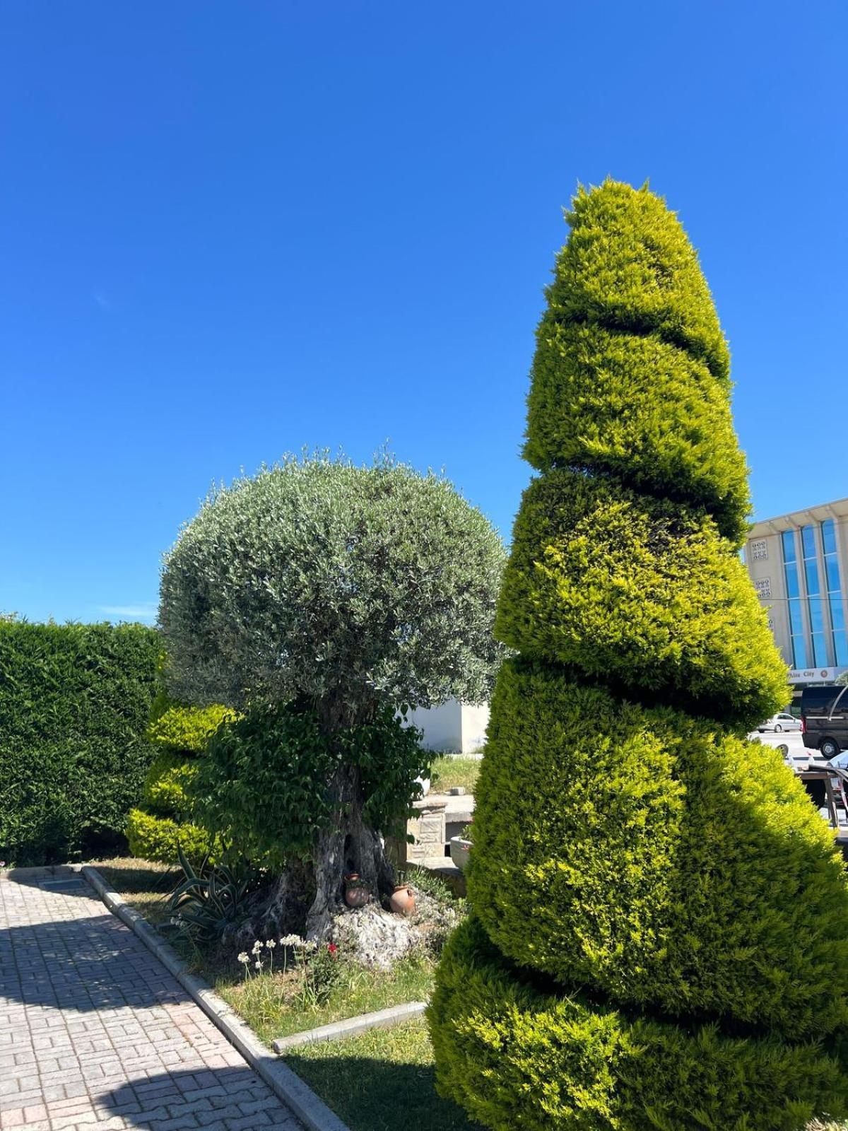 Hotel Kaceli เบราท ภายนอก รูปภาพ